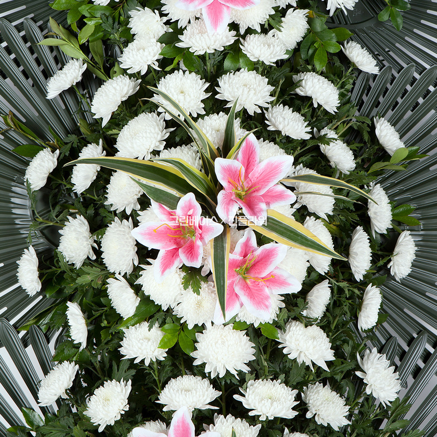 상세이미지