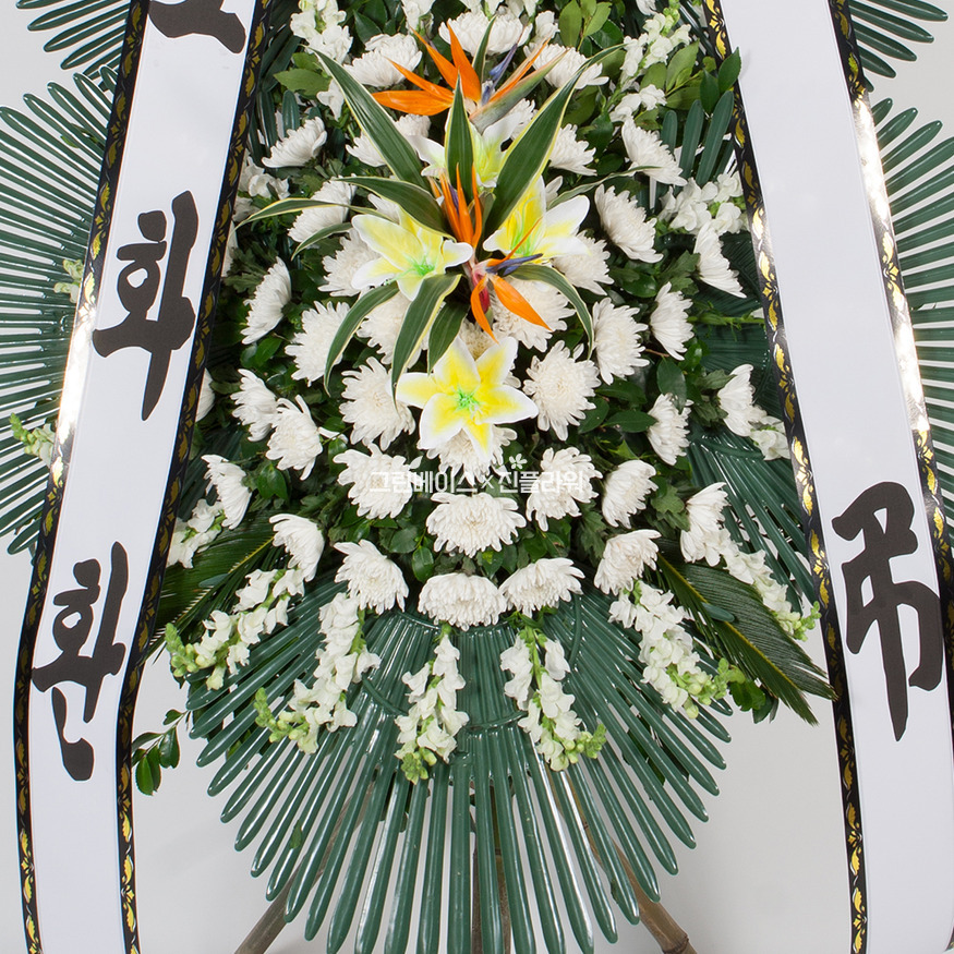 상세이미지