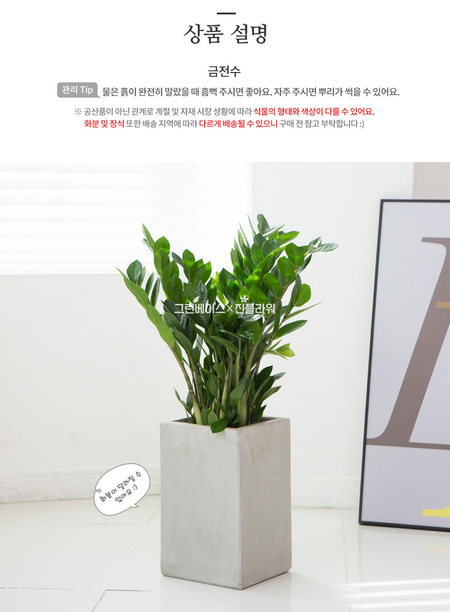 상세이미지