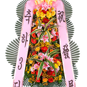 축하3단