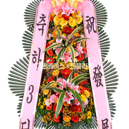 축하3단