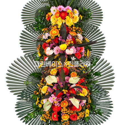 축하3단