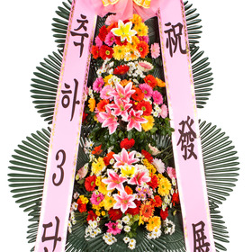 축하3단 기본