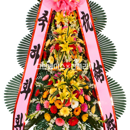 축하50