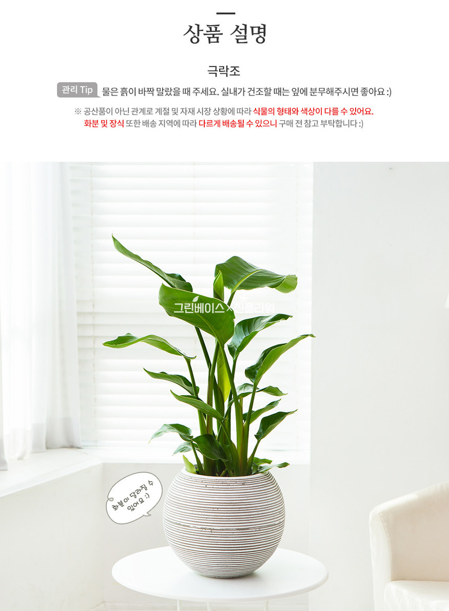 상세이미지