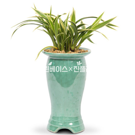 대국e5002
