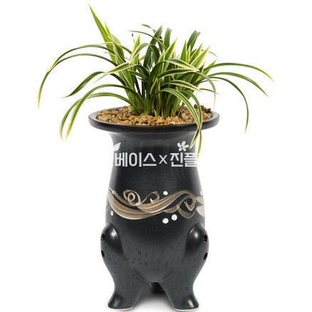 대국e5031