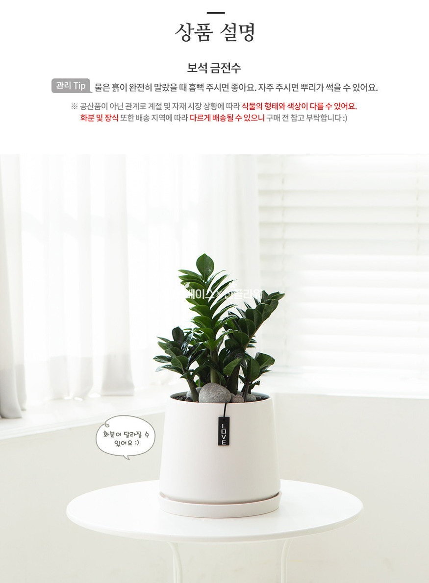 상세이미지