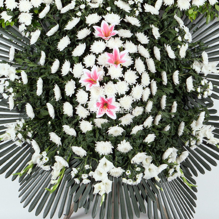 상세이미지