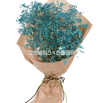 파란안개다발