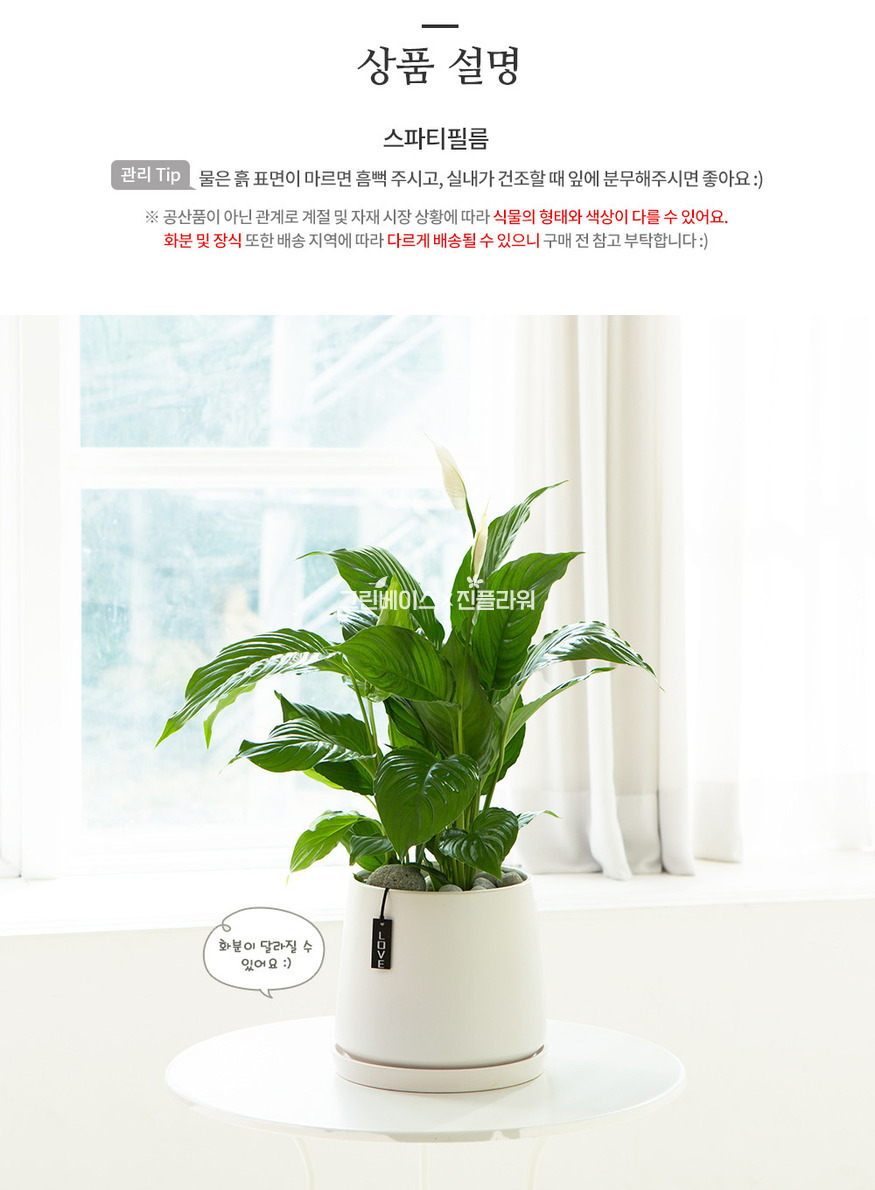 상세이미지