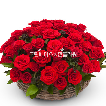 레드장미바구니