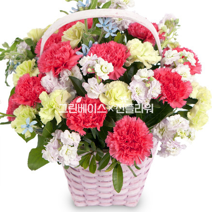 카네이션혼합바구니