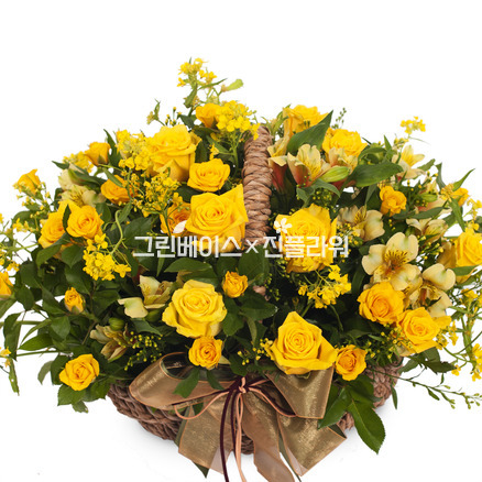 미니노랑장미혼합