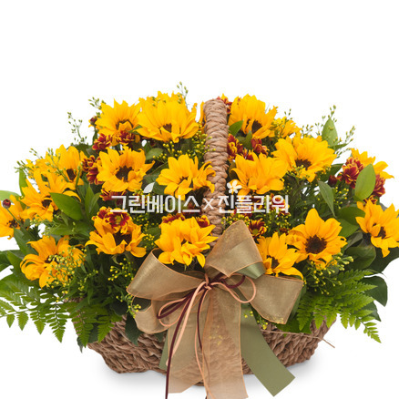 해바라기4