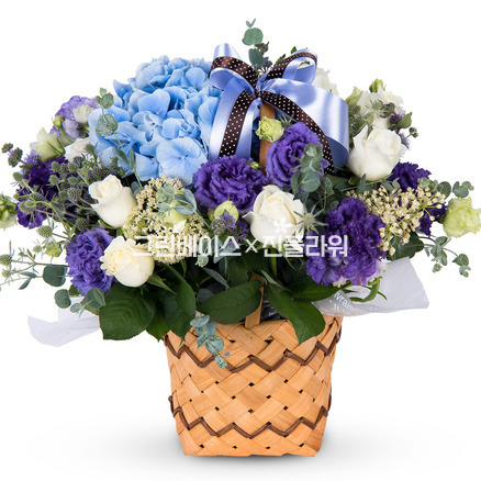 해피바이러스p051