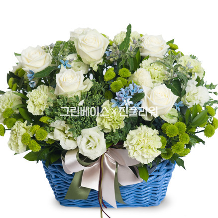 화이트/블루