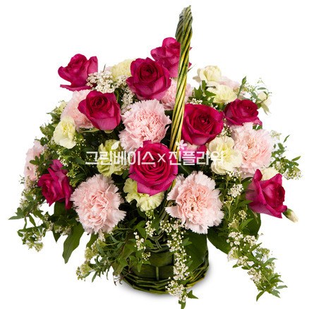장미카네이션바구니