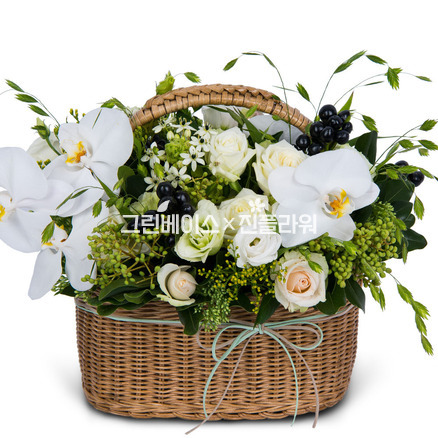 백색의연인 a5011