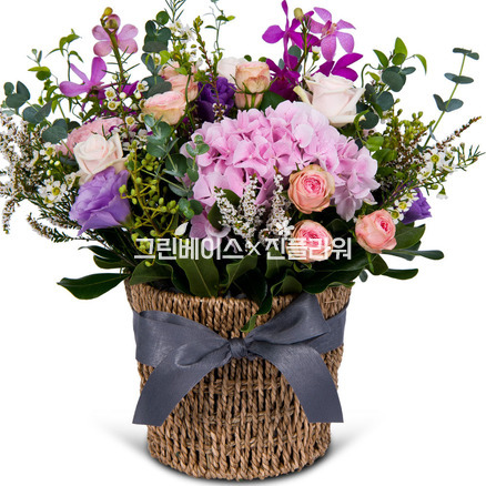 나에사랑 p1230