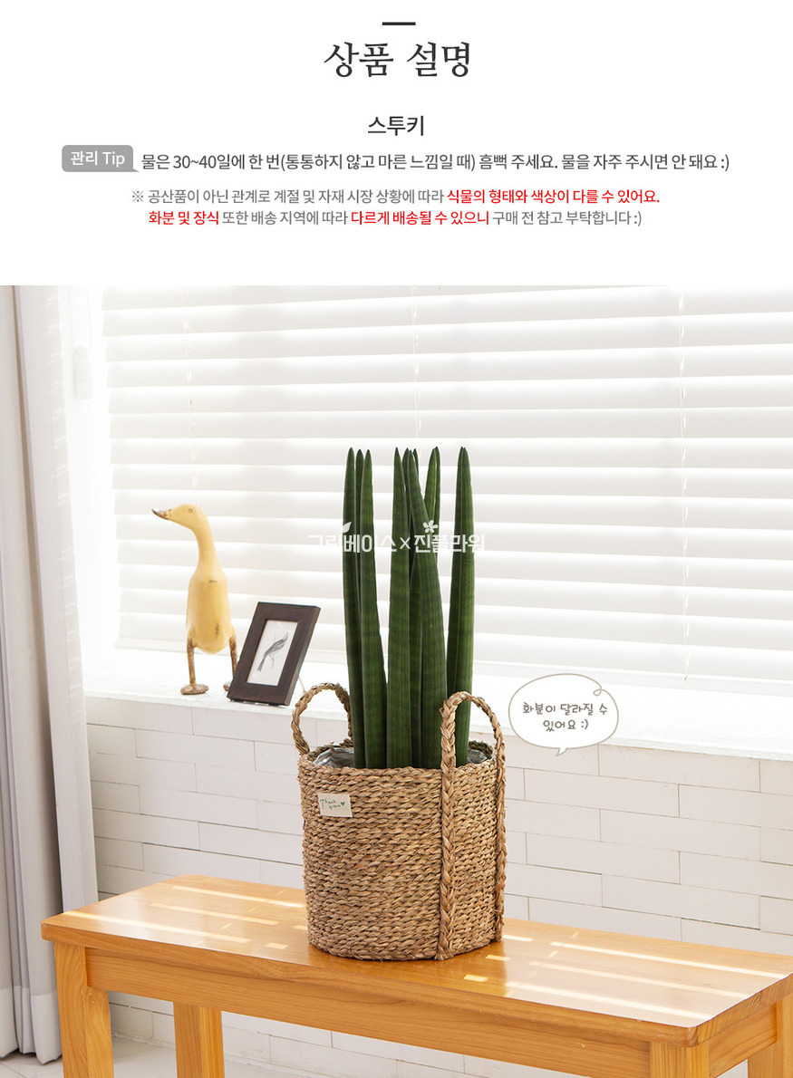 상세이미지