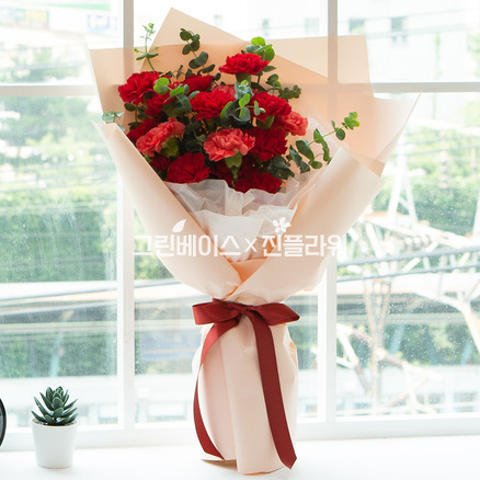 레드카네이션 다발