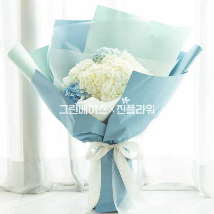 러블리 블루