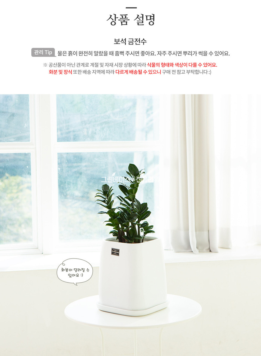 상세이미지