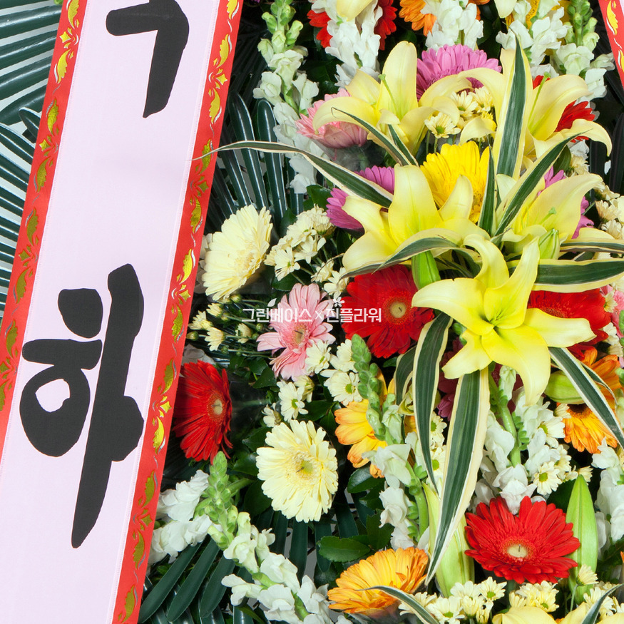 상세이미지