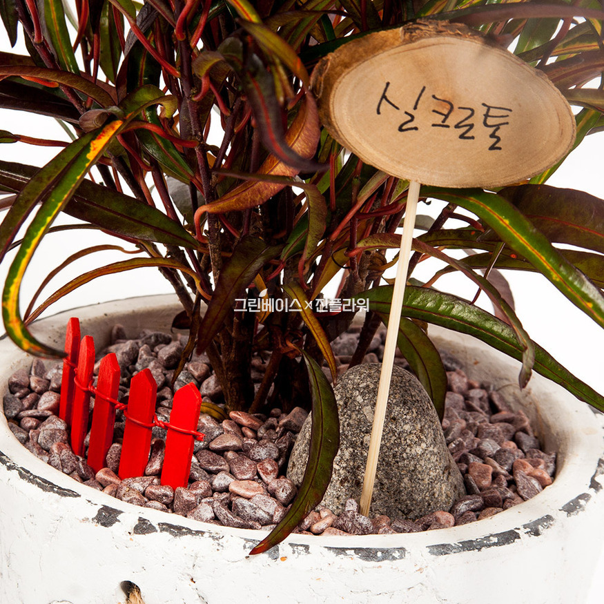 상세이미지