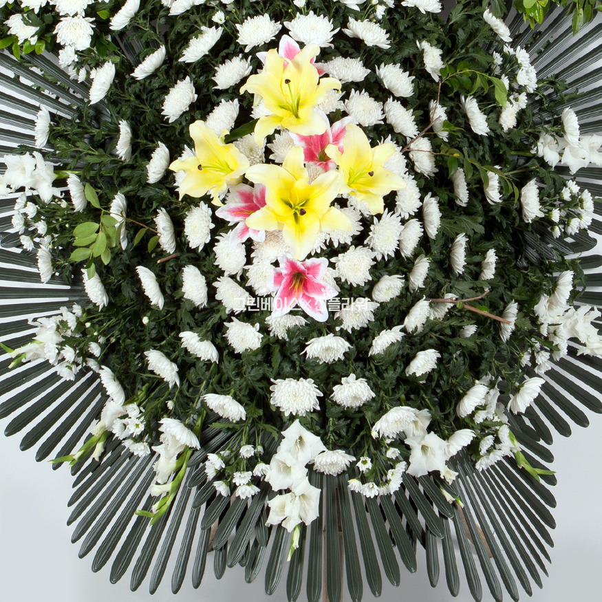 상세이미지