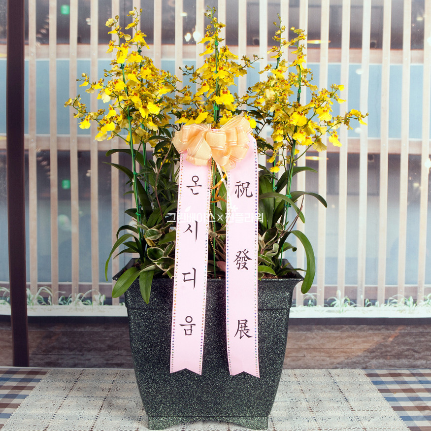 상세이미지