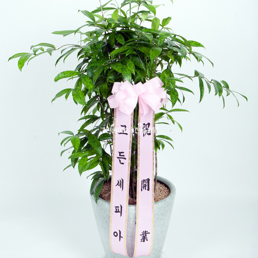 상세이미지