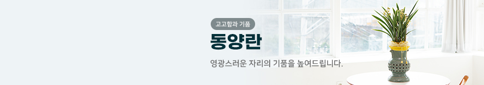 동양란